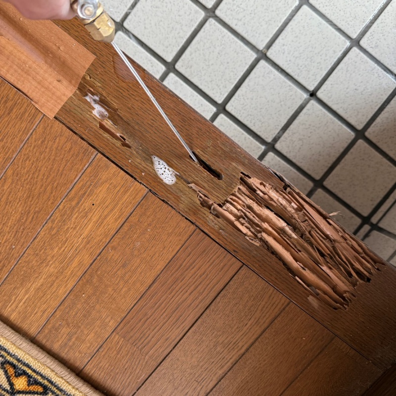 傷んだ木部にシロアリ駆除剤を注入