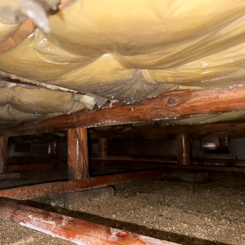 土壌処理が完了した様子