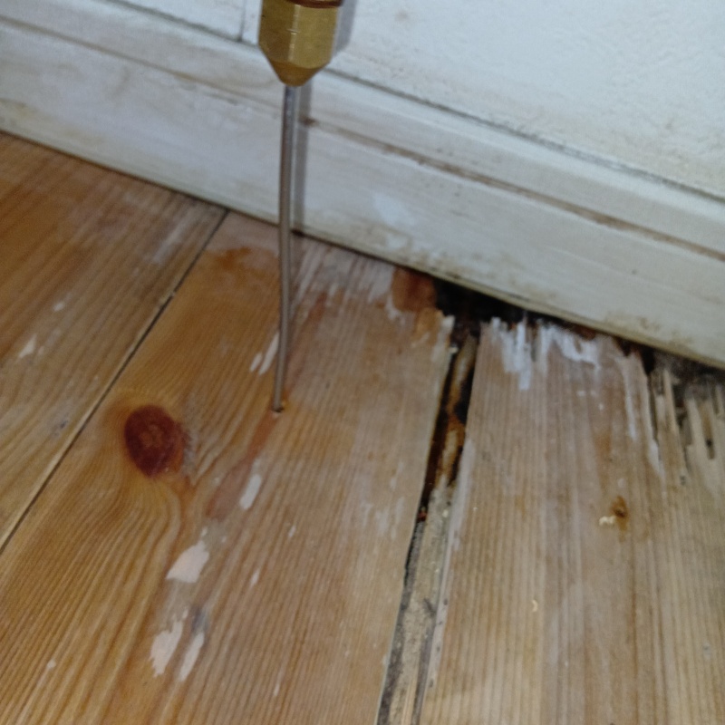 傷んだ床板にシロアリ駆除剤を注入