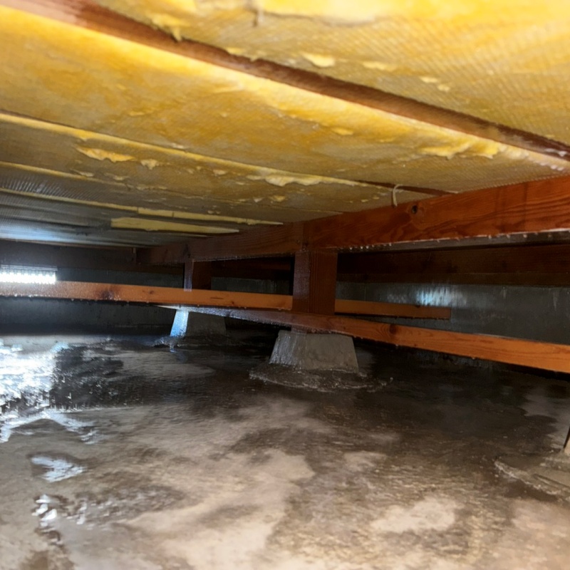 土壌処理が完了した様子