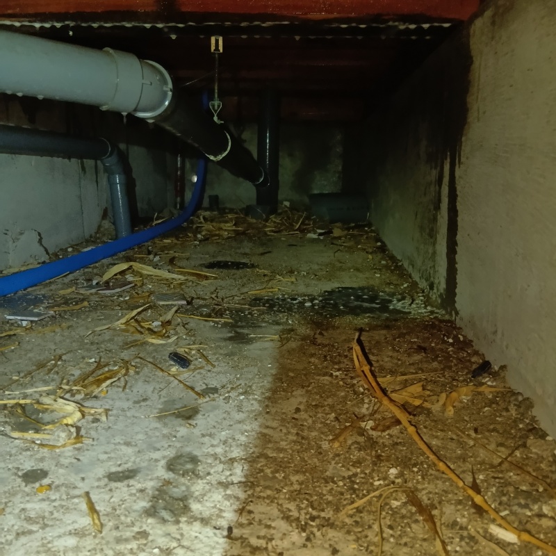 築年数38年のシロアリ予防の施工事例（福岡県宗像市王丸）