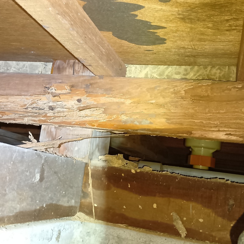 築年数56年のシロアリ駆除の施工事例（岐阜県各務原市下中屋町）