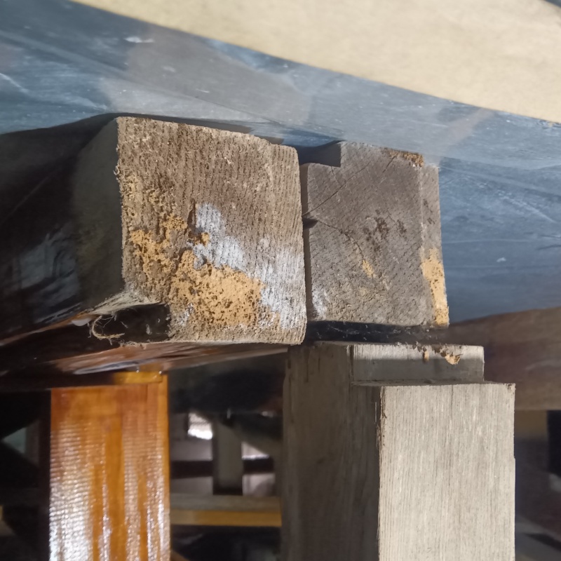 築年数40年のシロアリ駆除の施工事例（岡山県岡山市中区海吉）