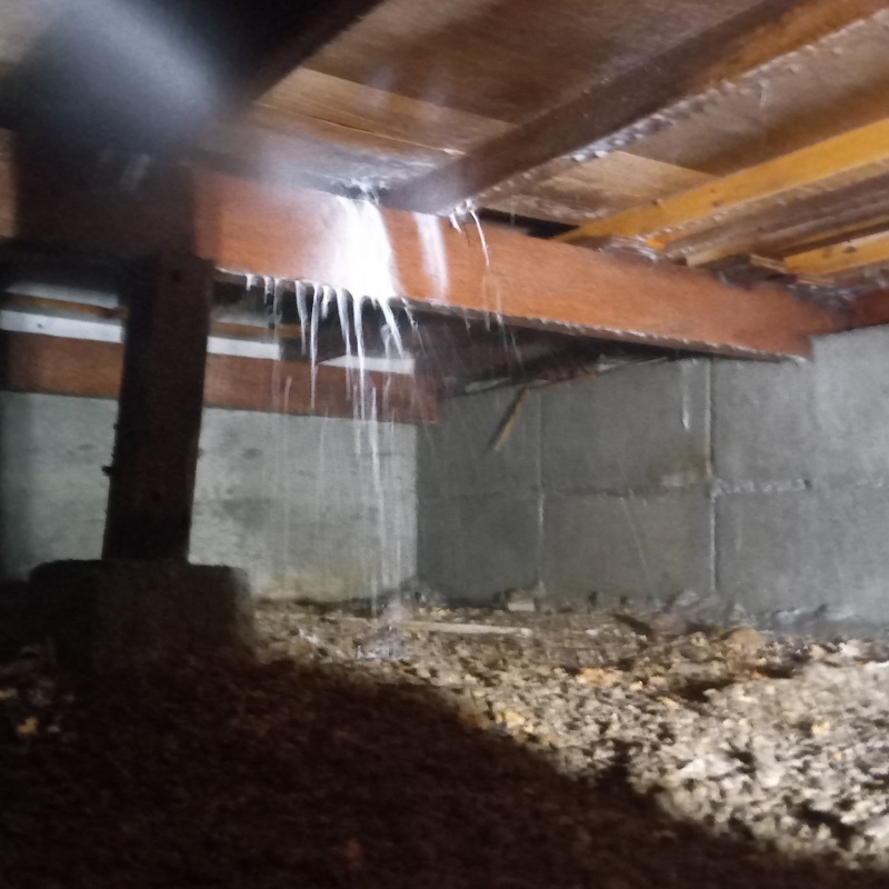 床下の木材にシロアリ駆除剤を散布