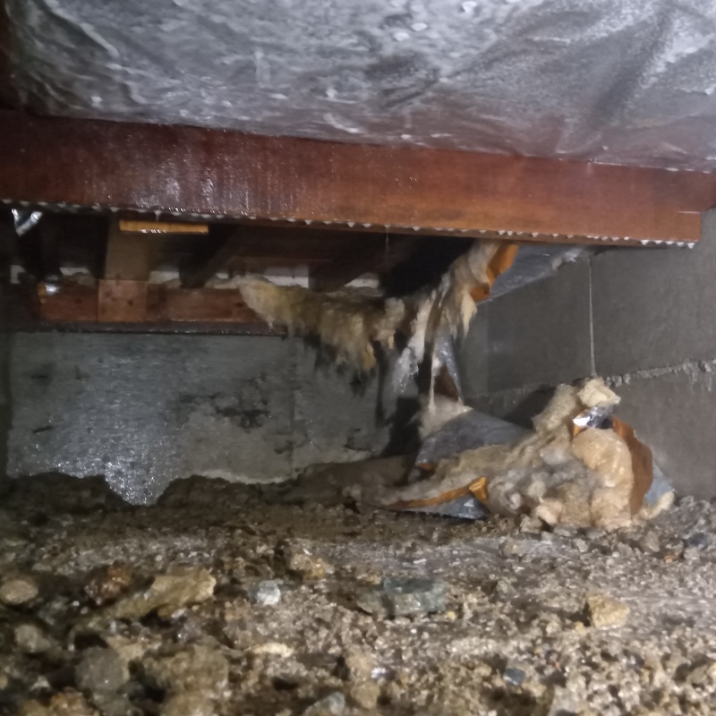 土壌処理が完了した様子