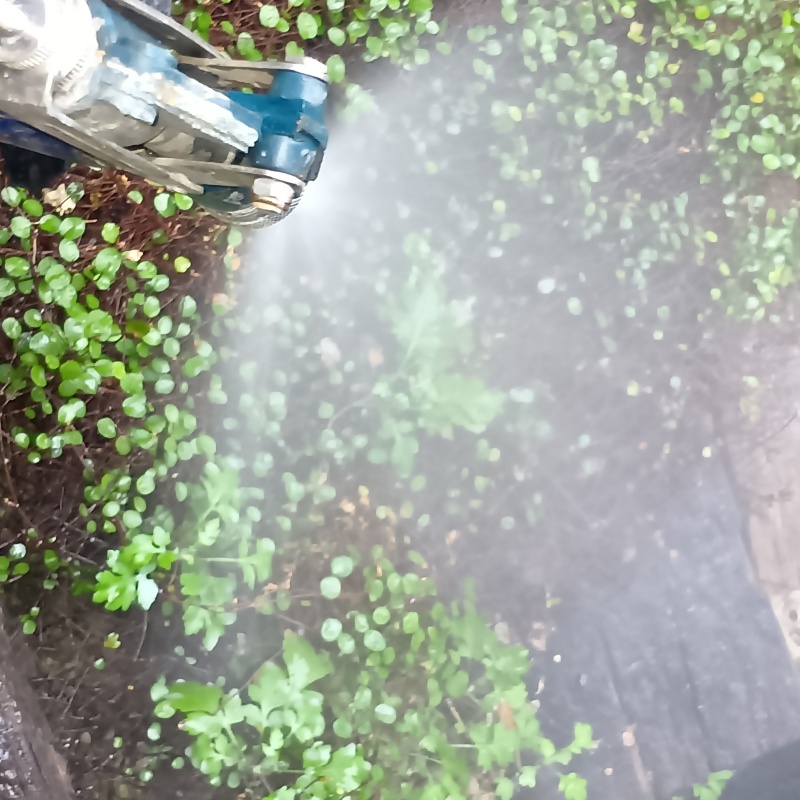 屋外の地面にシロアリ駆除剤を散布