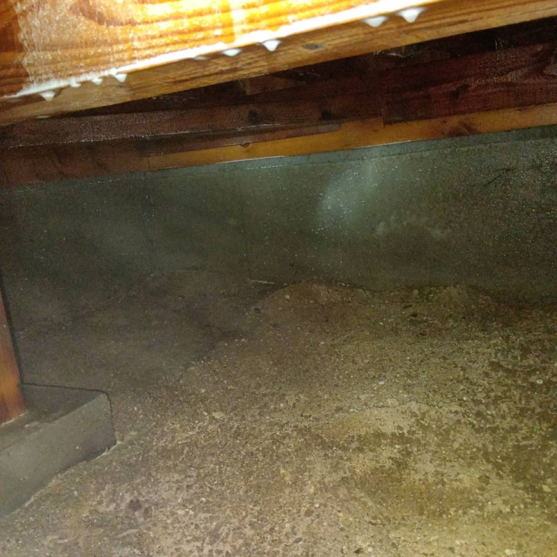 木部処理が完了した様子