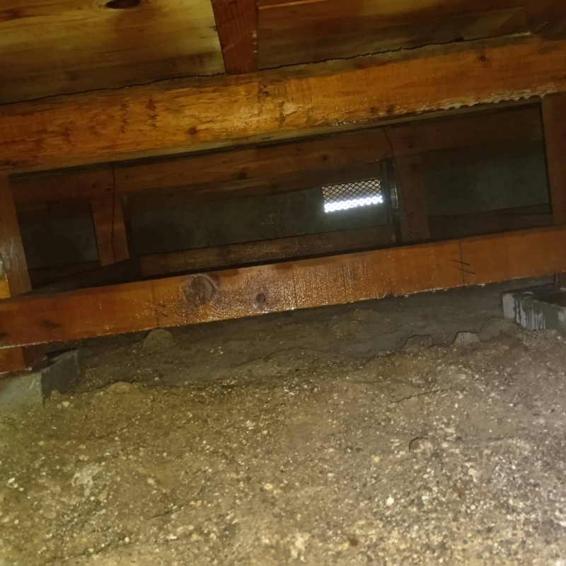 木部処理が完了した様子