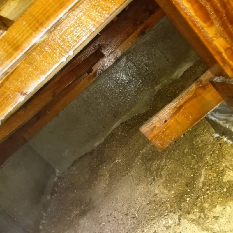 土壌処理が完了した様子