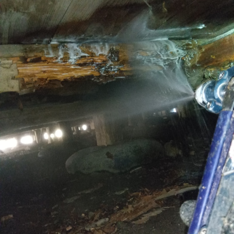 築年数80年のシロアリ駆除の施工事例（新潟県新潟市南区味方）