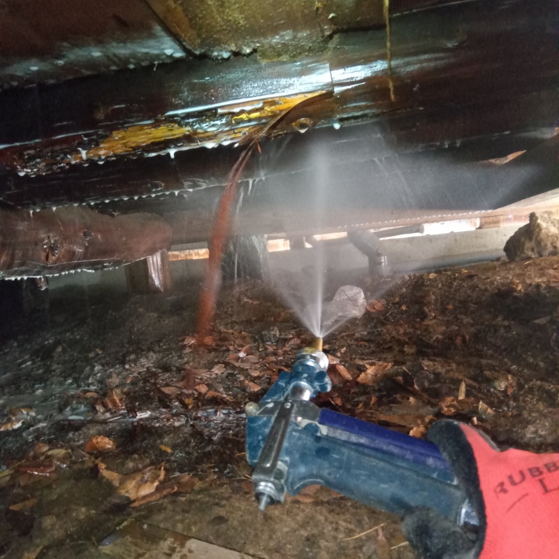 食害を受けた木材にシロアリ駆除剤を散布