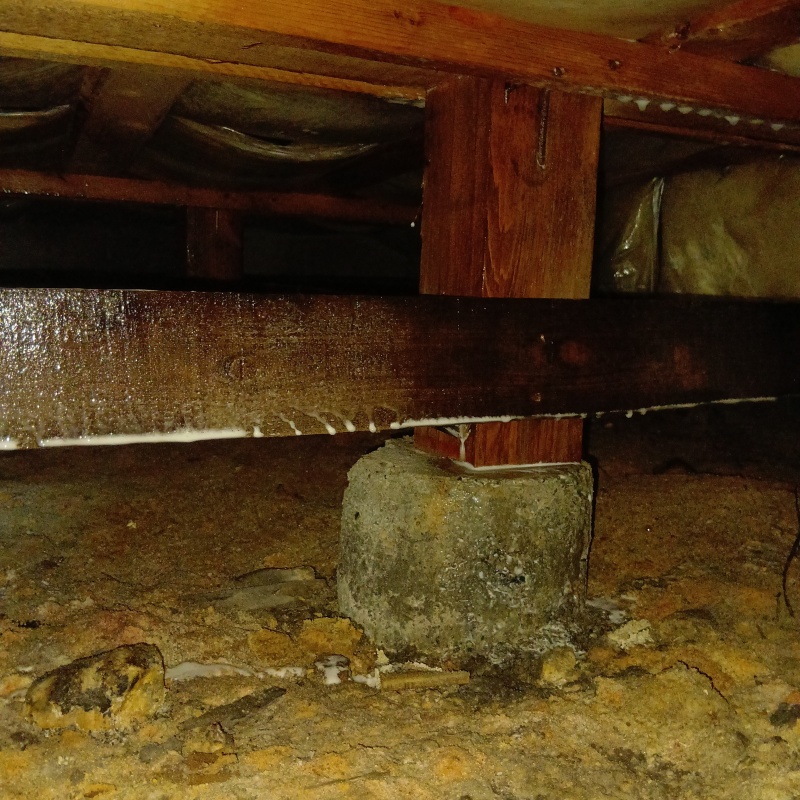 土壌処理が完了した様子