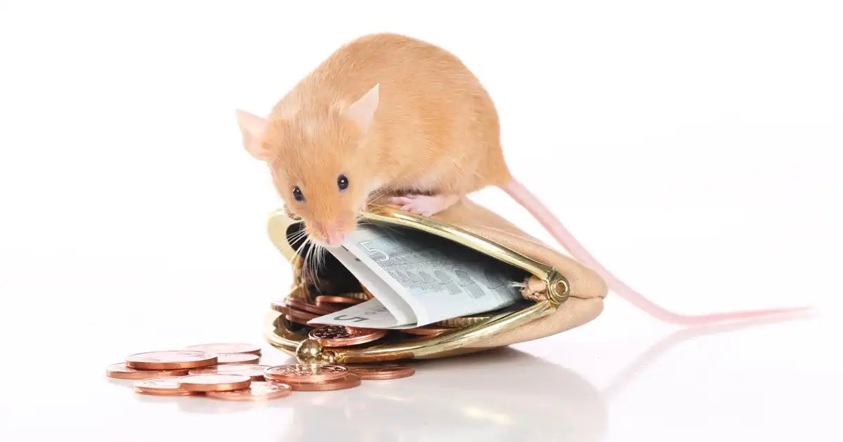 害獣駆除の費用相場は？内訳や費用を抑える方法を紹介