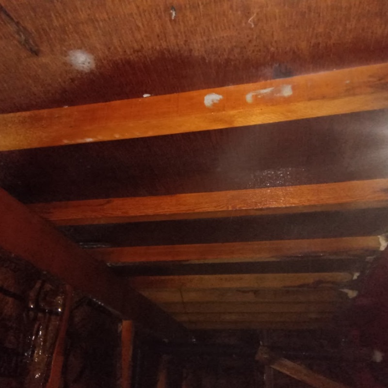 屋根裏の木材にシロアリ駆除剤を散布