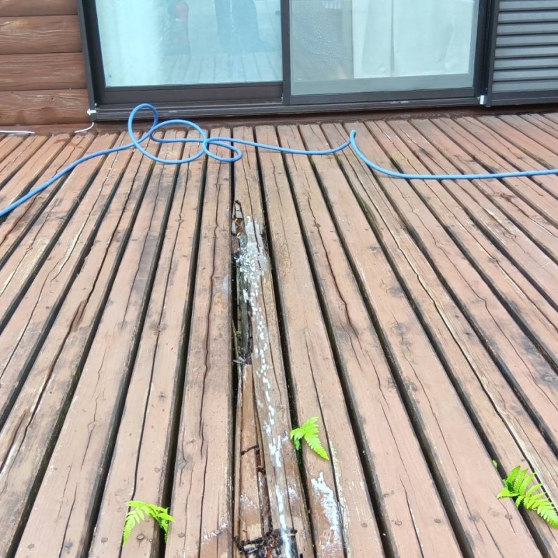 シロアリ駆除の施工事例（兵庫県丹波篠山市佐貫谷）