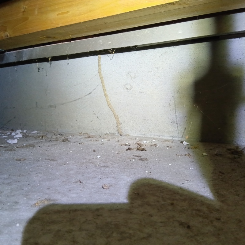 シロアリ駆除の施工事例（大阪府堺市中区土塔町）