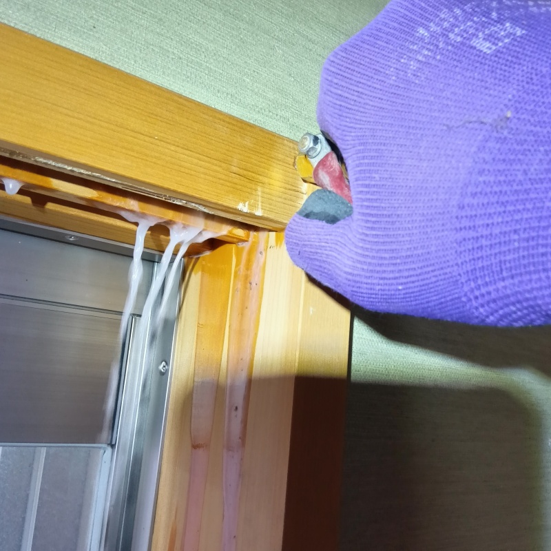 木部にシロアリ駆除剤を注入