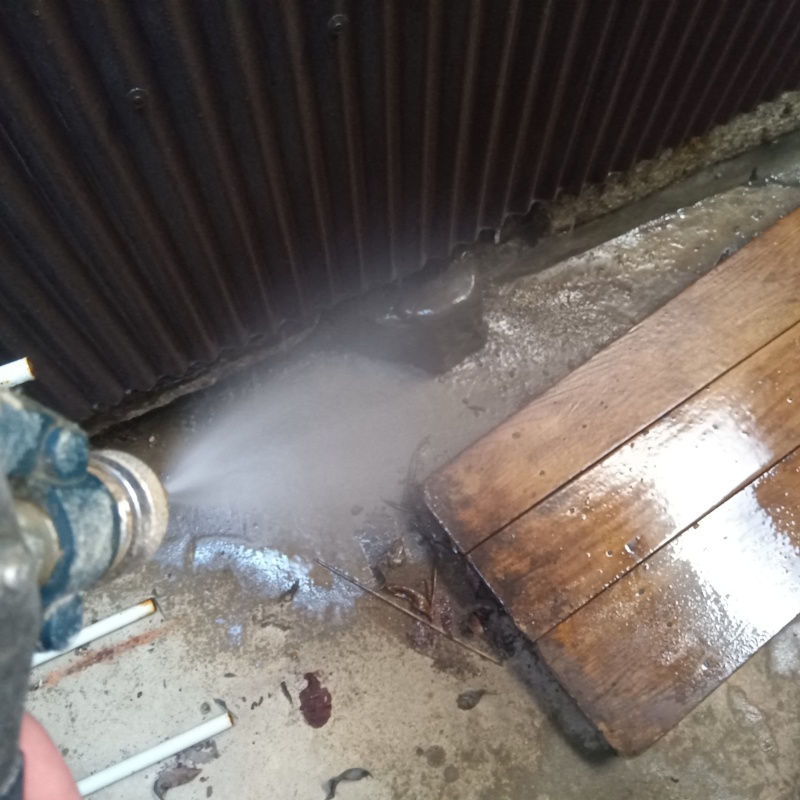 シロアリ駆除の施工事例（京都府京都市北区紫野下築山町）