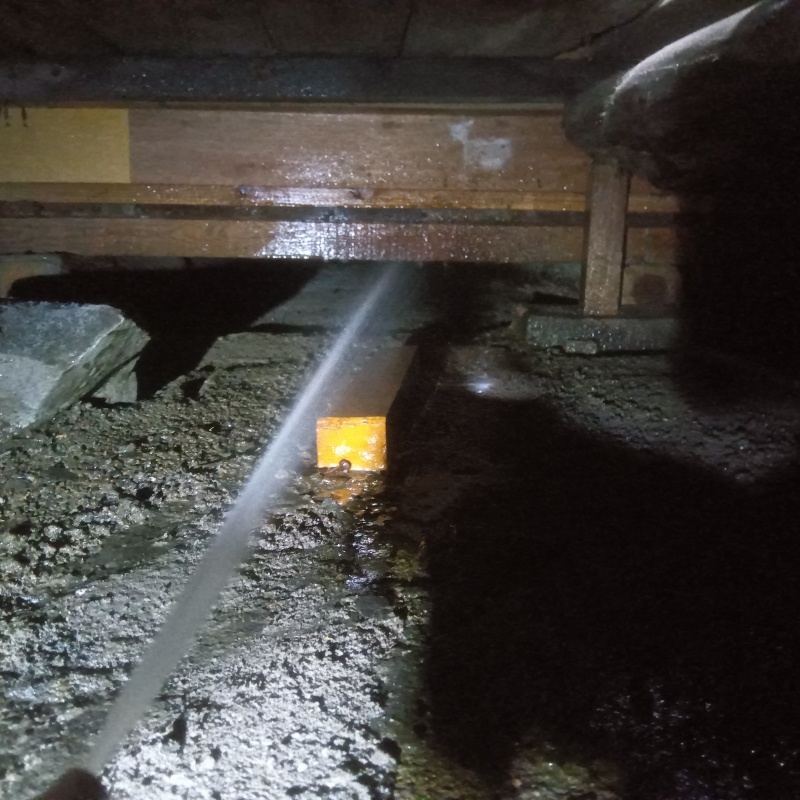 床下の木材にシロアリ駆除剤を散布