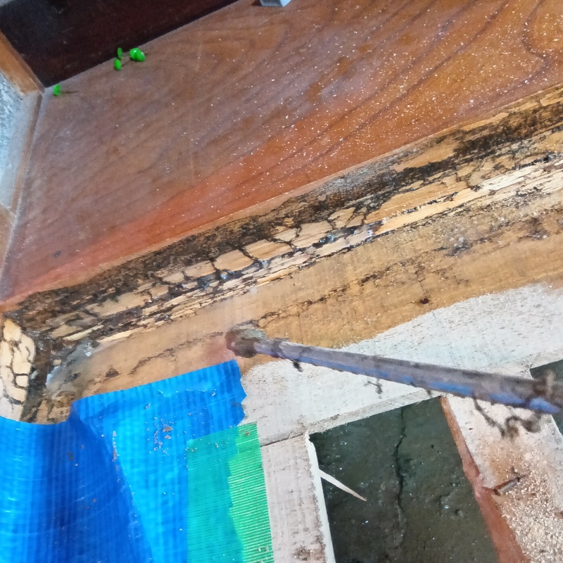 シロアリ駆除の施工事例（奈良県五條市相谷町）