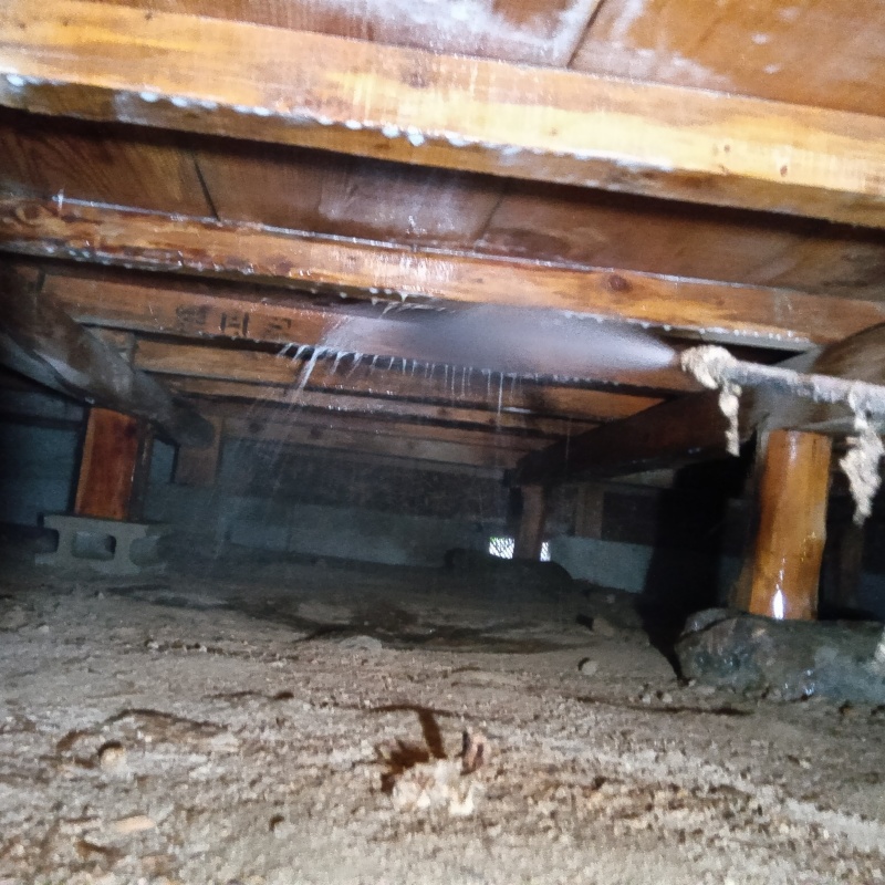 床下木材にシロアリ駆除剤を散布