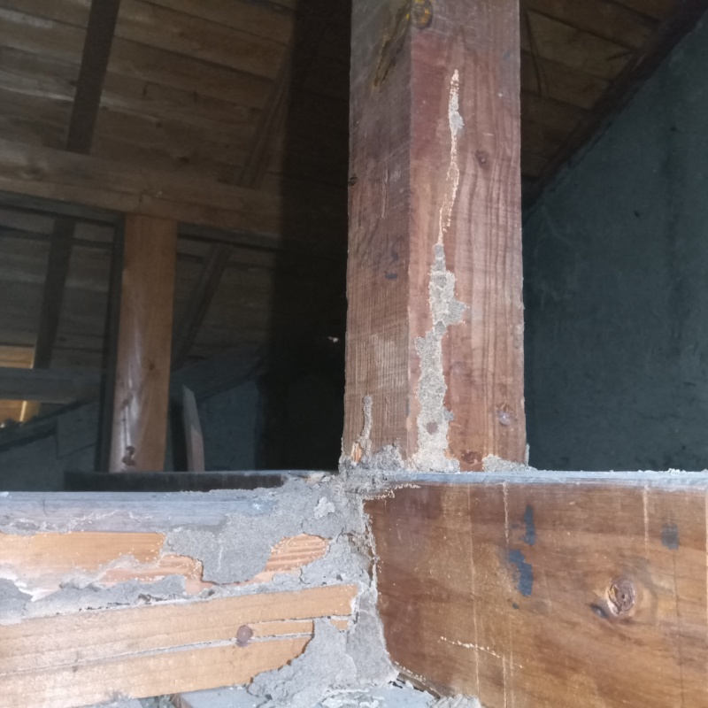 シロアリ駆除の施工事例（大分県杵築市守江）
