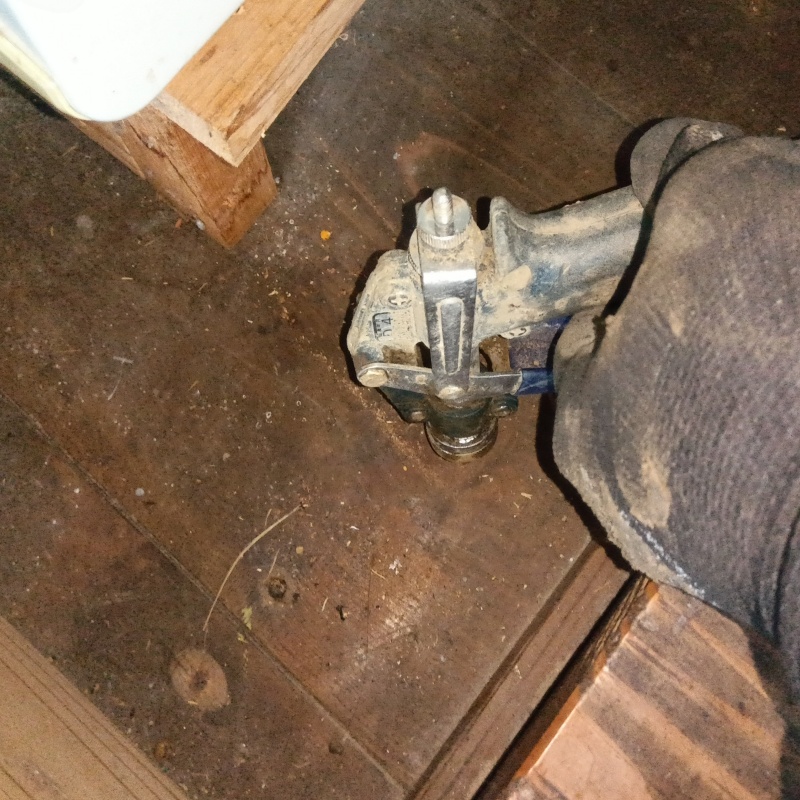 シロアリ駆除の施工事例（福井県小浜市）