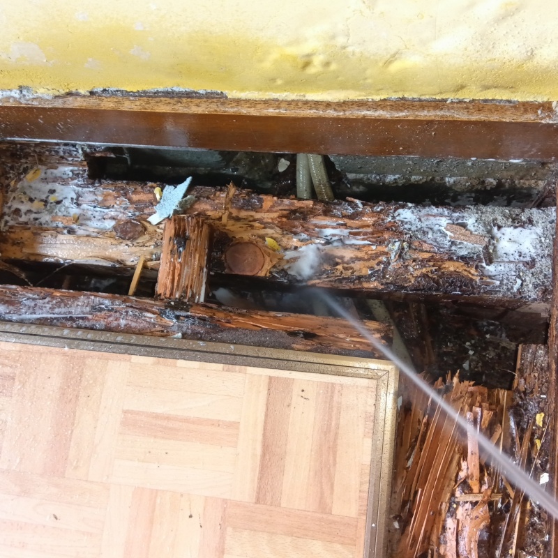 傷んだ木材にシロアリ駆除剤を散布