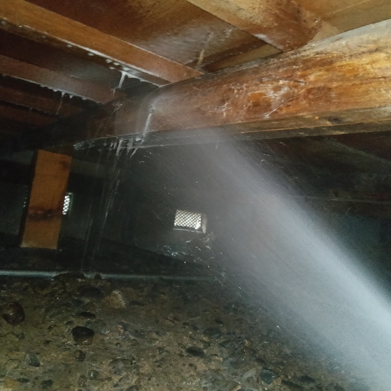 床下木材に防蟻剤を散布