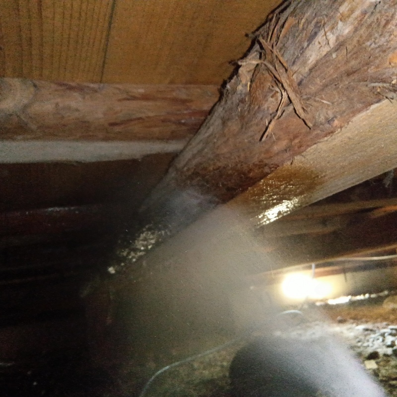 床下木材に防蟻剤を吹き付ける様子