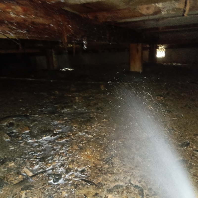 地面に防蟻剤を吹き付ける様子