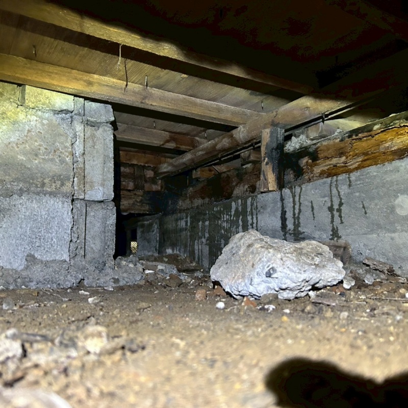 シロアリ駆除の施工事例（和歌山県新宮市橋本）