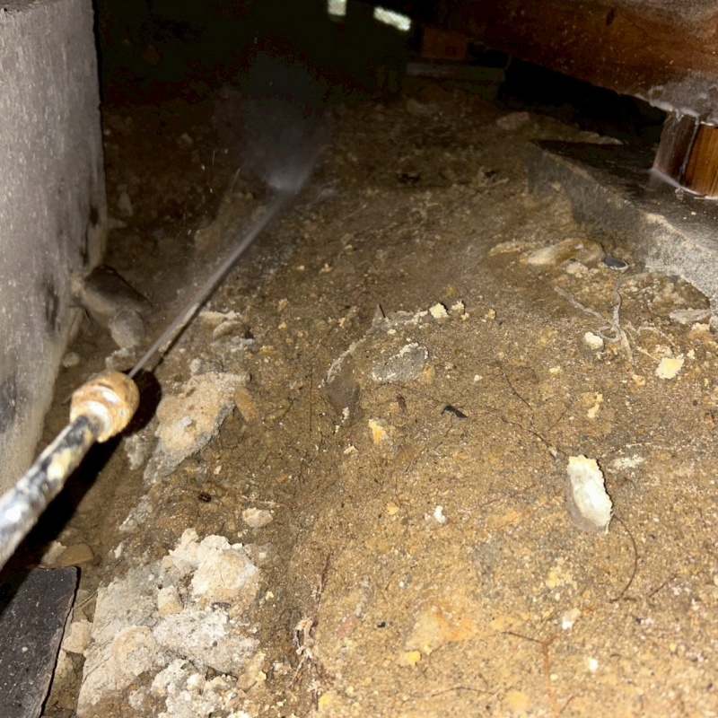 地面にシロアリ駆除剤を散布