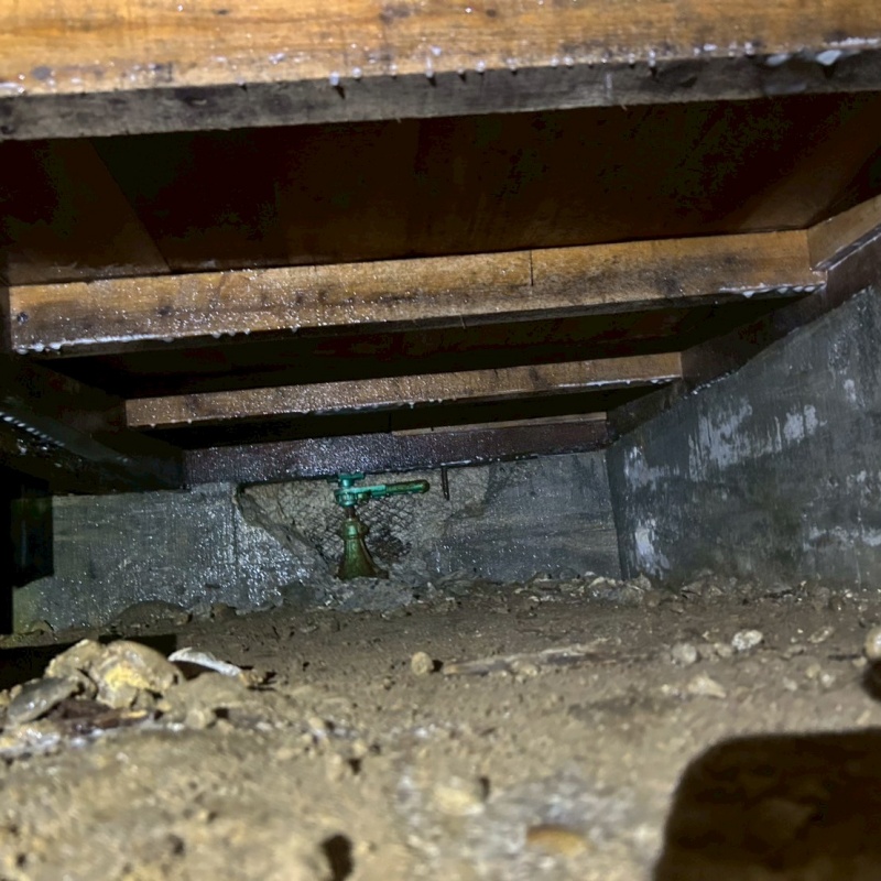 地面・基礎にシロアリ駆除剤を散布した様子