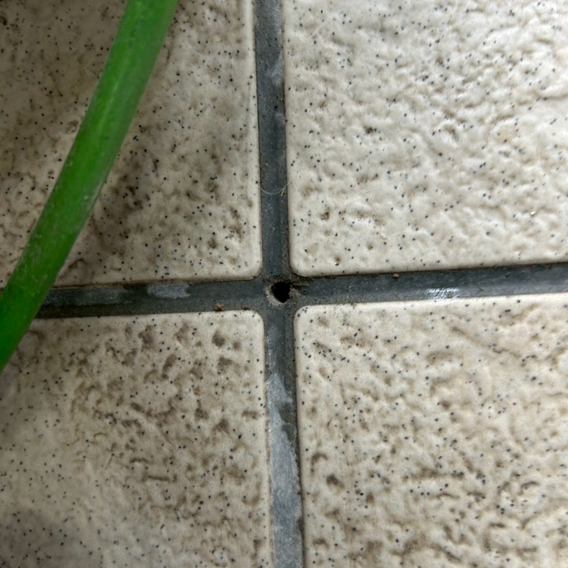 シロアリ駆除剤を注入するための穴を開けた様子