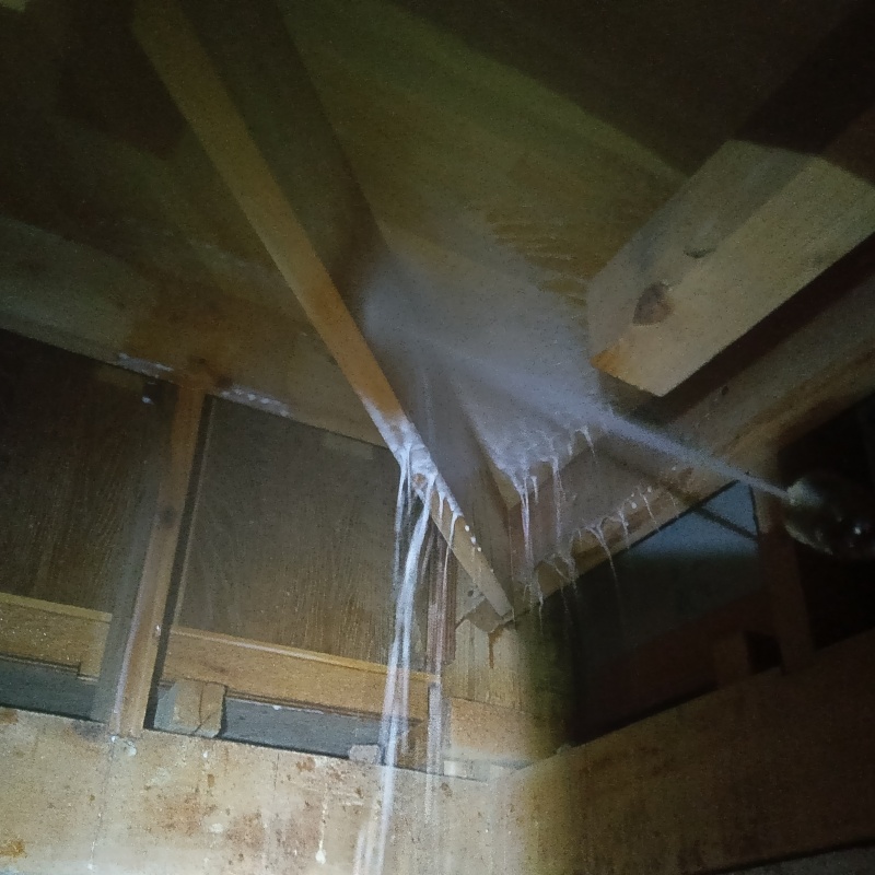 屋根裏の木材にシロアリ駆除剤を散布