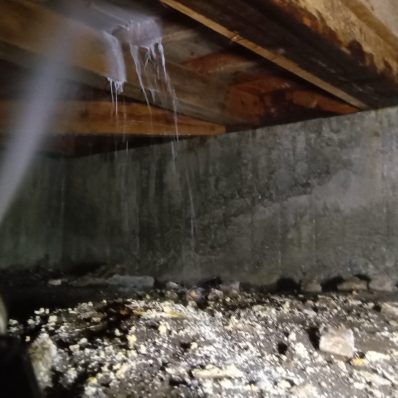 床下の木材にシロアリ駆除剤を散布