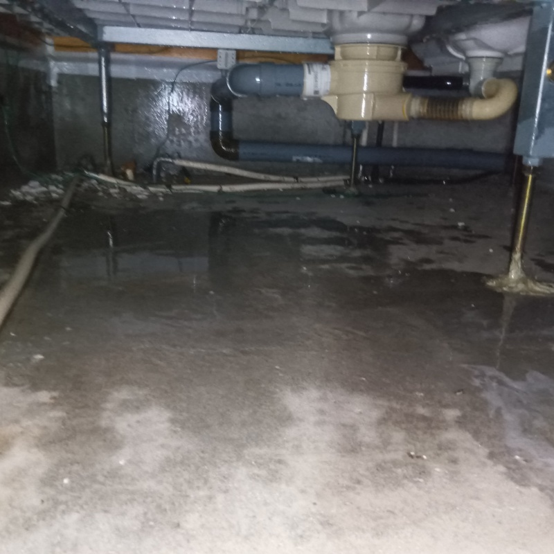 地面・基礎に防蟻剤を散布した様子