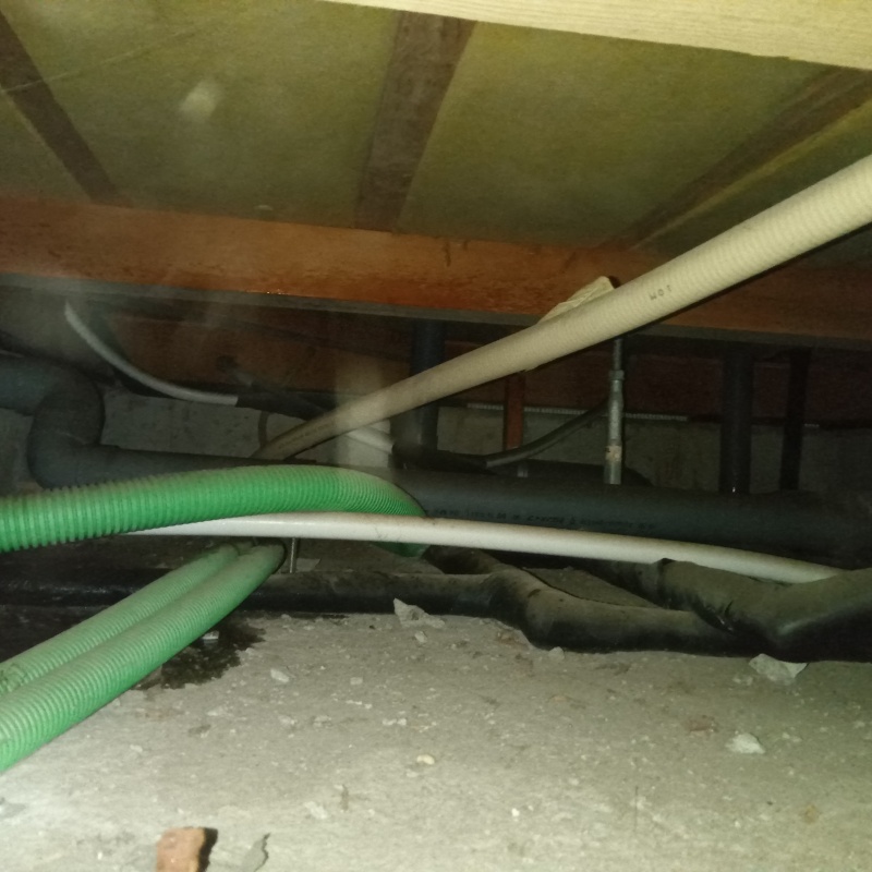 築年数20年のシロアリ駆除の施工事例（東京都狛江市中和泉）