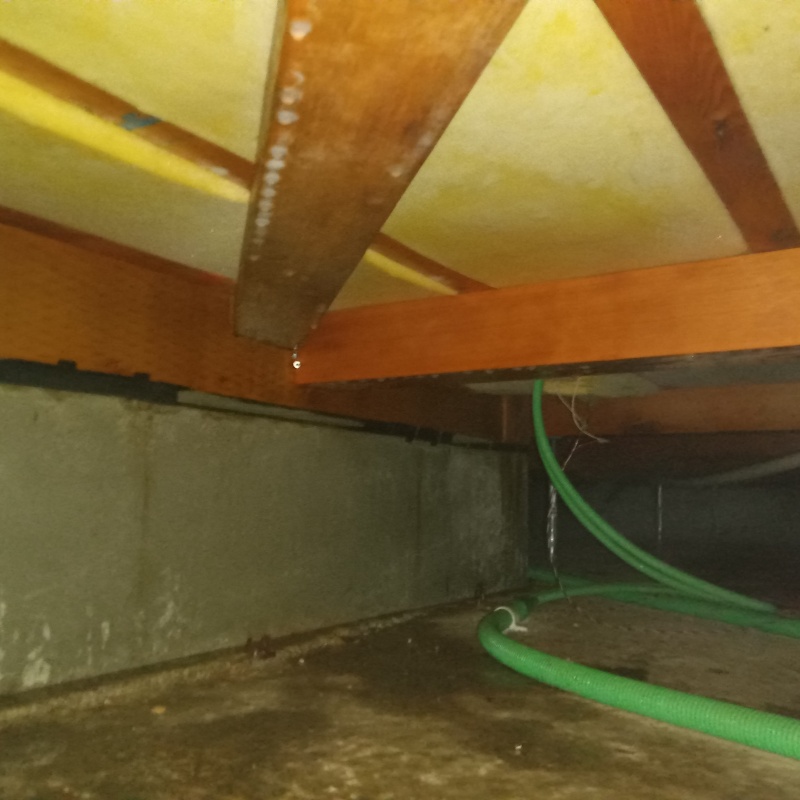 地面・基礎にシロアリ駆除剤を散布した様子