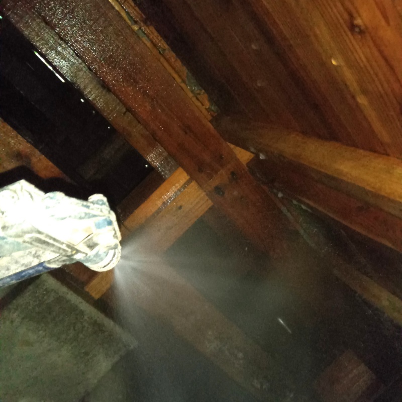 シロアリ駆除の施工事例（東京都中央区築地）