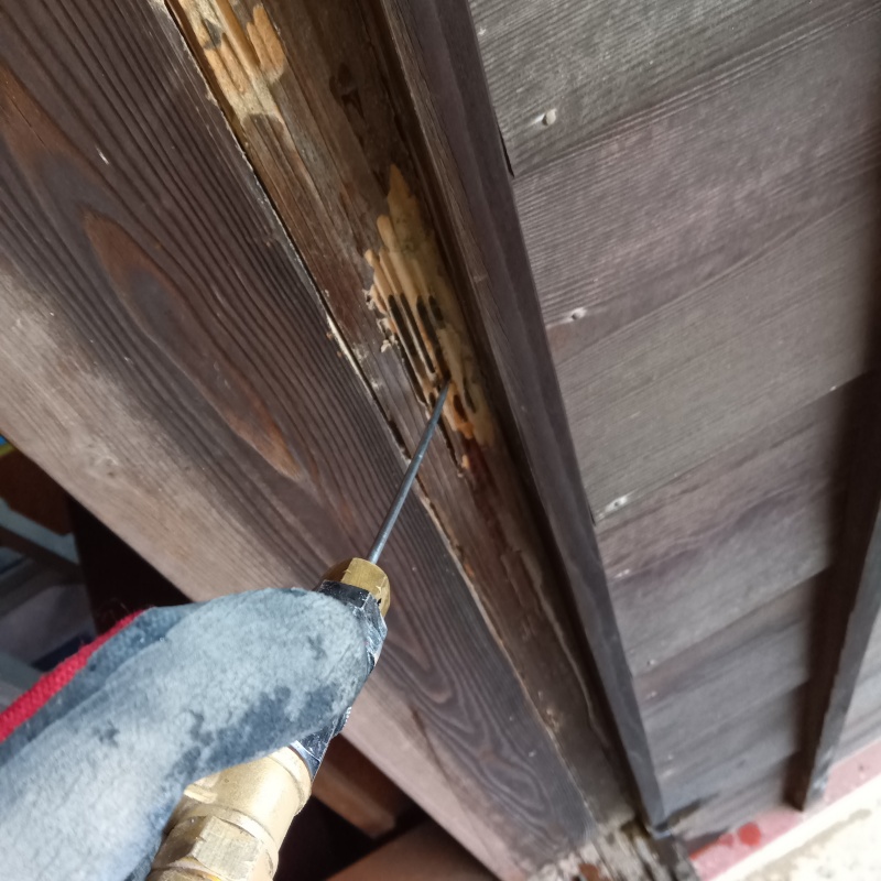 傷んだ木材に穴を開けてシロアリ駆除剤を注入