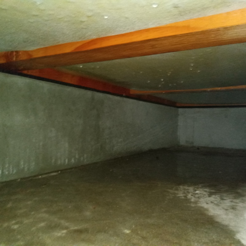 地面・基礎に防蟻剤を散布した様子