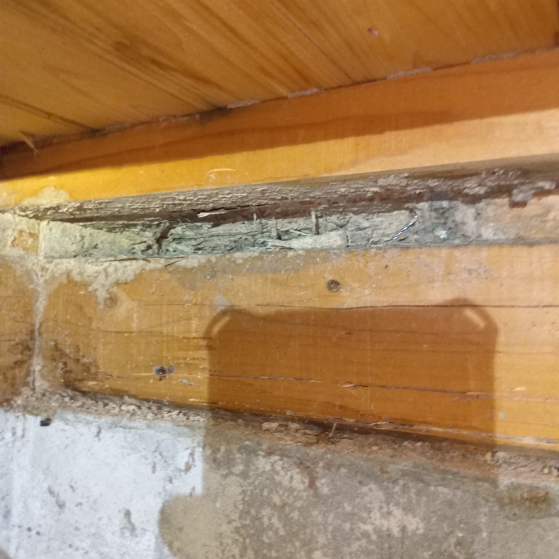 築年数35年のシロアリ駆除の施工事例（宮崎県西都市穂北）