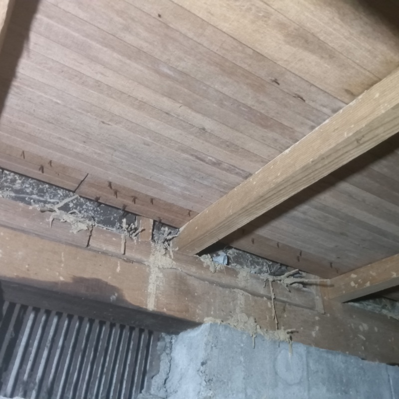 築年数55年のシロアリ駆除の施工事例（京都府京都市左京区山端森本町）