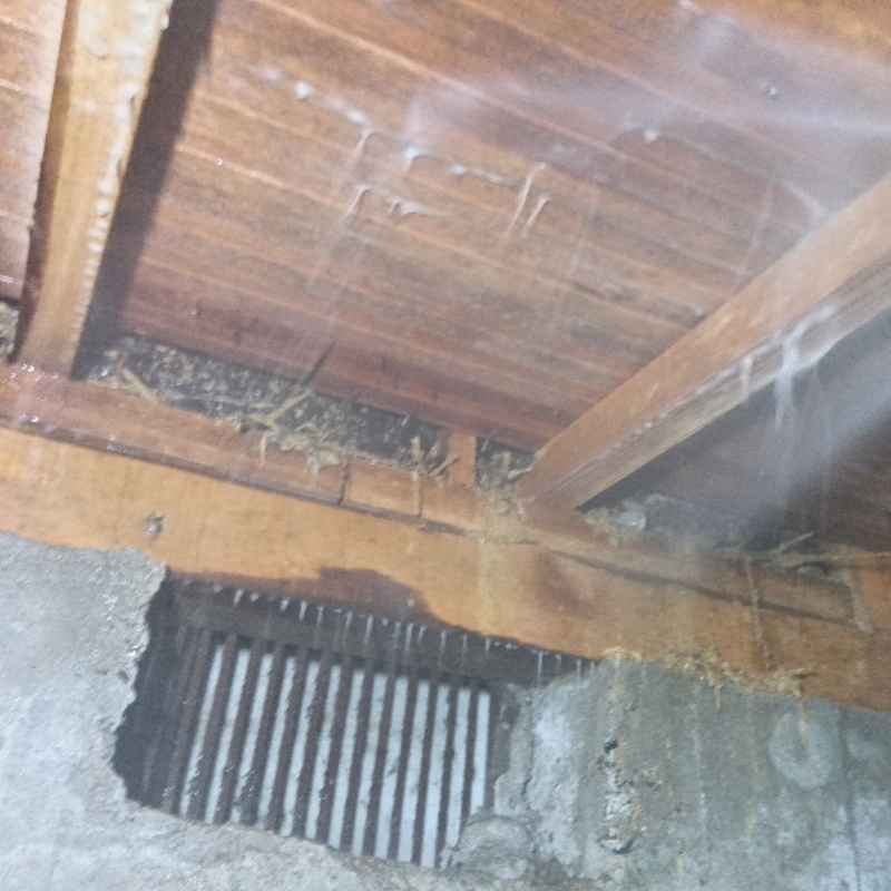 床下の木材にシロアリ駆除剤を散布