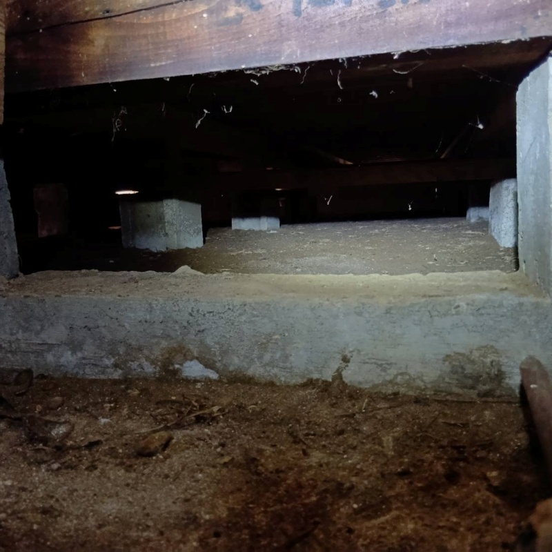 床下の基礎を開口した様子