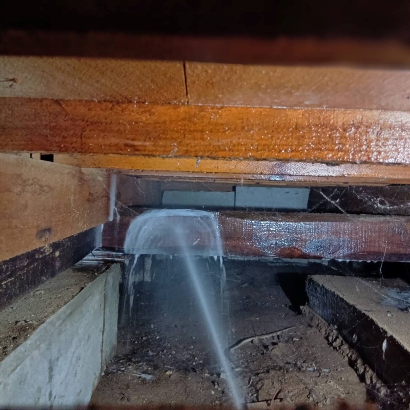 床下木材にシロアリ駆除剤を散布