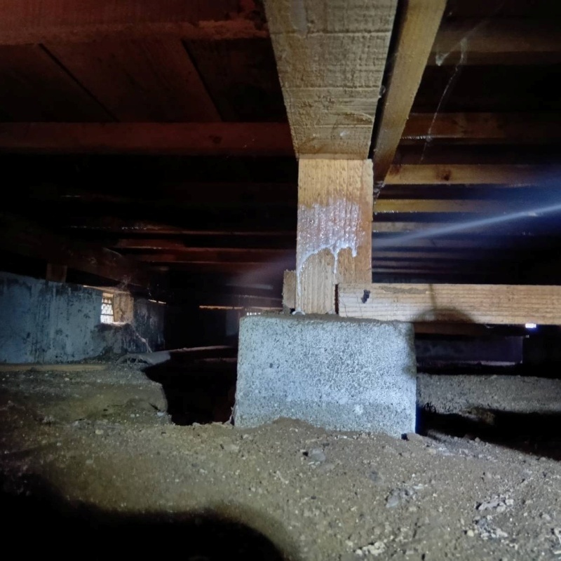 床下木材にシロアリ駆除剤を散布