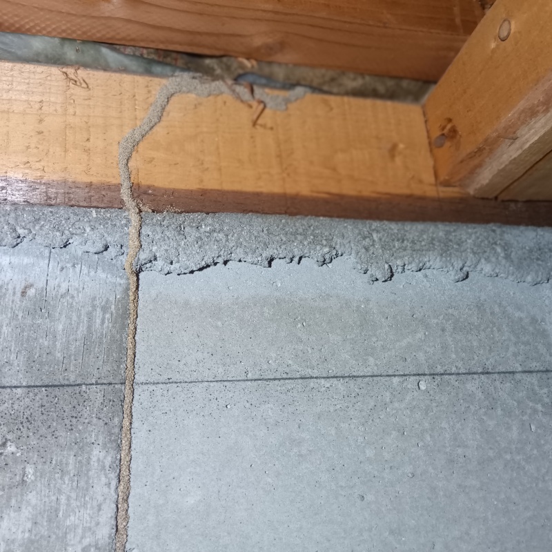 築年数30年のシロアリ駆除の施工事例（大阪府堺市美原区阿弥）